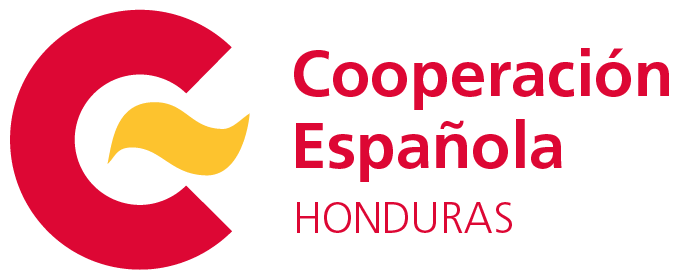 Logo Cooperación Española